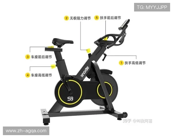 认识各种健身器材从基础到进阶