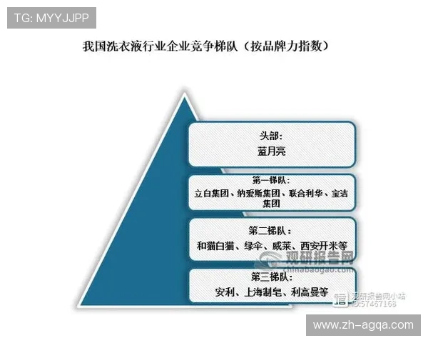 市场影响力最大的英超球队排行榜及影响因素